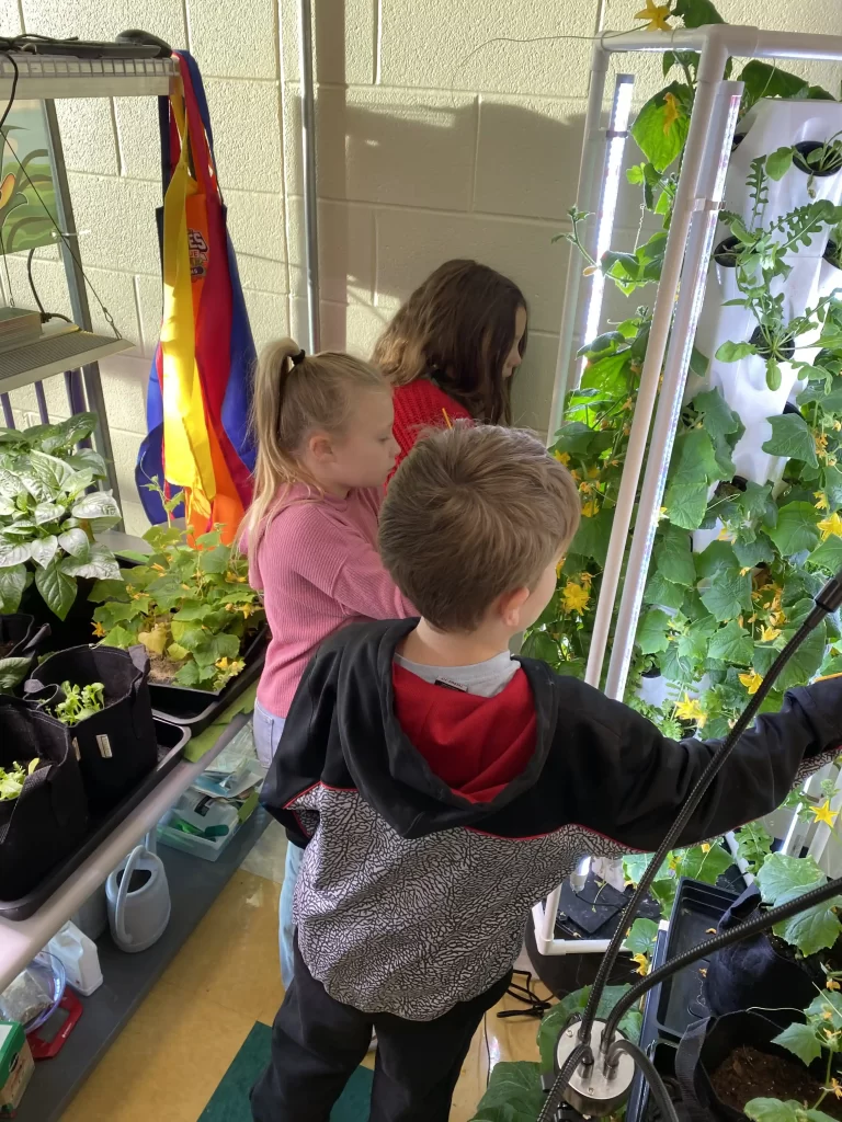 0EA797BB-9092-4888-B072-6A46F77A44B8