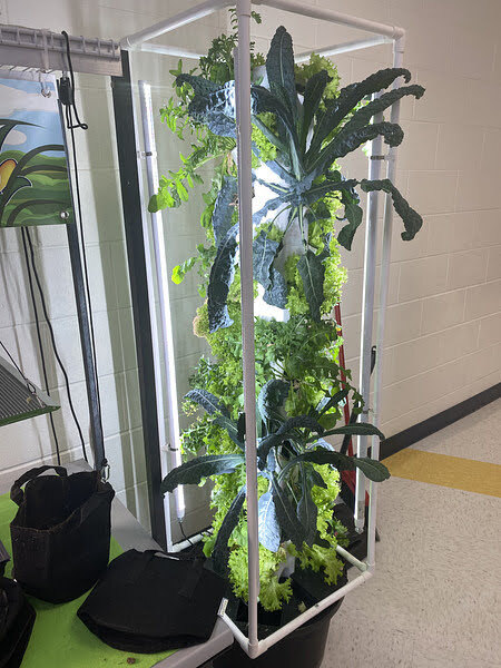 FCB6B2A1-A274-42C9-AE5C-426E0847BFDC